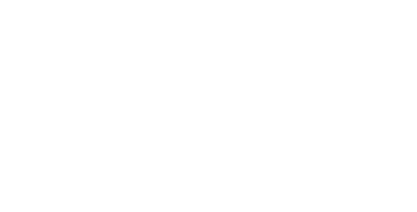 Medical Bridge Santé